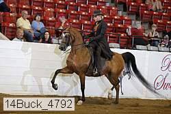14buck_4792 proof