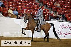 14buck_4794 proof