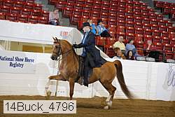 14buck_4796 proof