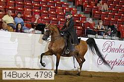 14buck_4799 proof