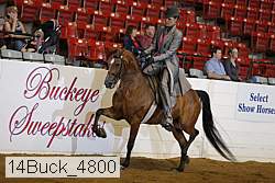 14buck_4800 proof