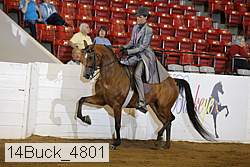 14buck_4801 proof