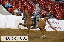 14buck_4802 proof