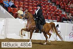 14buck_4804 proof