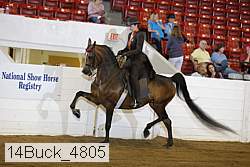 14buck_4805 proof