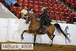 14buck_4806 proof