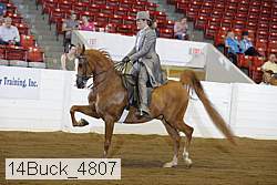 14buck_4807 proof