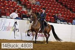 14buck_4808 proof
