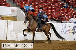 14buck_4809 proof