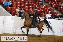14buck_4812 proof