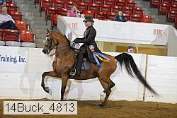 14buck_4813 proof