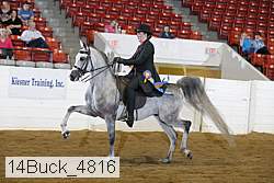 14buck_4816 proof