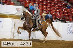 14buck_4820 proof