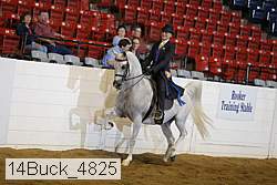 14buck_4825 proof