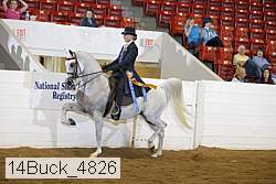 14buck_4826 proof