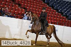 14buck_4828 proof