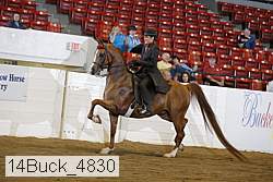 14buck_4830 proof