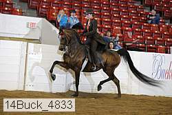 14buck_4833 proof