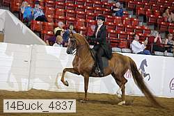 14buck_4837 proof