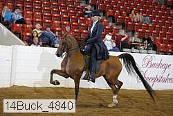 14buck_4840 proof