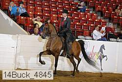 14buck_4845 proof