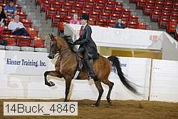 14buck_4846 proof