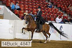 14buck_4847 proof