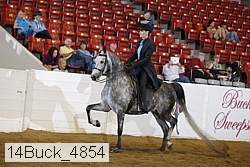 14buck_4854 proof