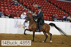 14buck_4855 proof