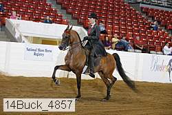 14buck_4857 proof