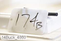14buck_4860 proof