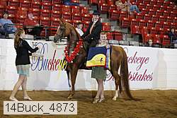 14buck_4873 proof