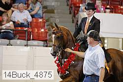 14buck_4875 proof