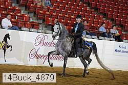 14buck_4879 proof