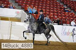 14buck_4880 proof