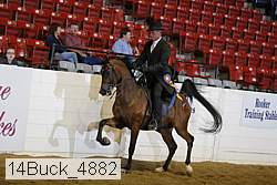 14buck_4882 proof