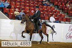 14buck_4883 proof