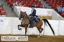 14buck_4885 proof