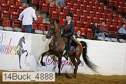 14buck_4888 proof