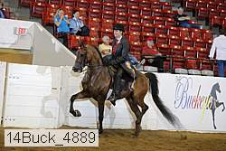 14buck_4889 proof