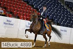 14buck_4899 proof