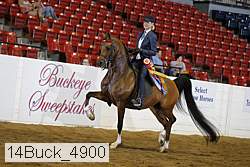 14buck_4900 proof