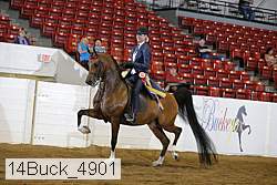 14buck_4901 proof