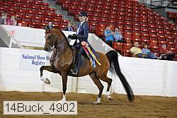 14buck_4902 proof