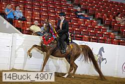 14buck_4907 proof