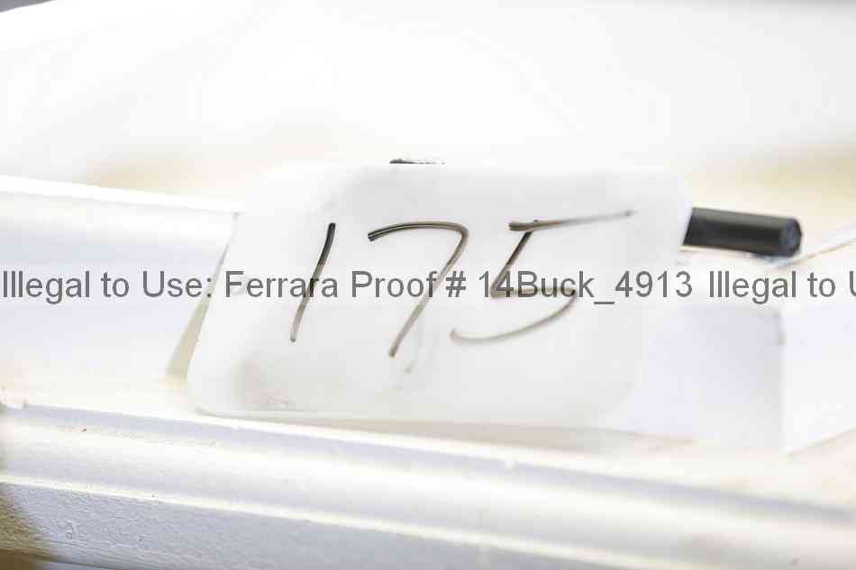 Proof 14buck_4913