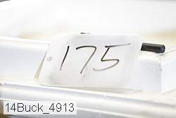 14buck_4913 proof