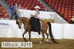 14buck_4916 proof