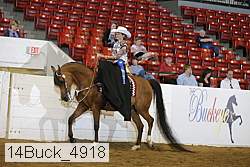 14buck_4918 proof