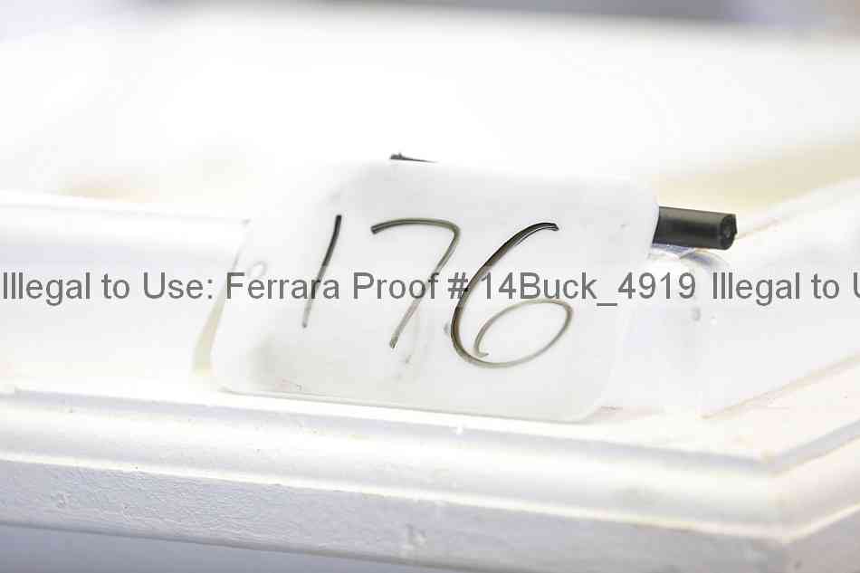 Proof 14buck_4919